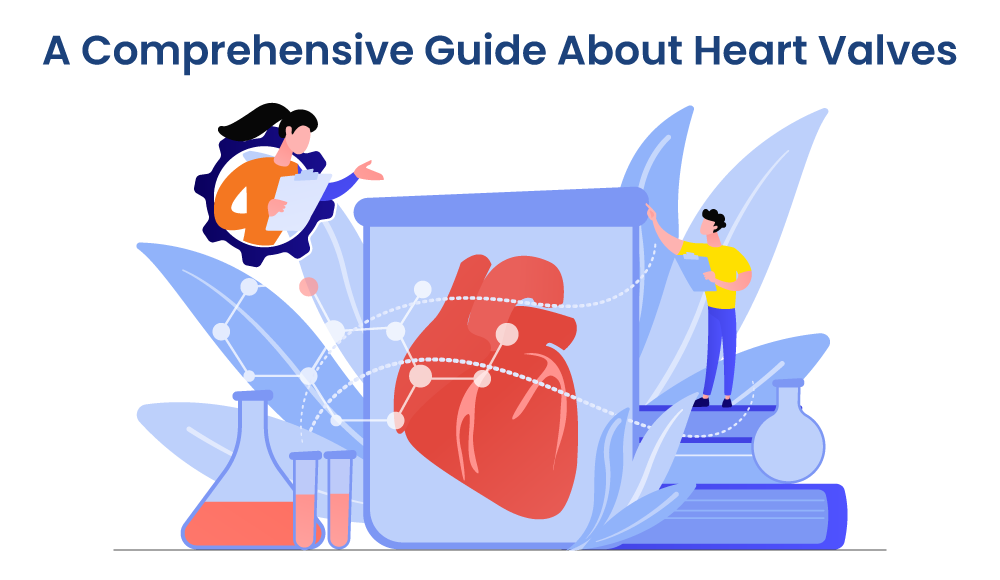 A Comprehensive Guide About Heart Valves