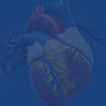 Heart Valve Diseases That Can Cause Right Side Heart Failure