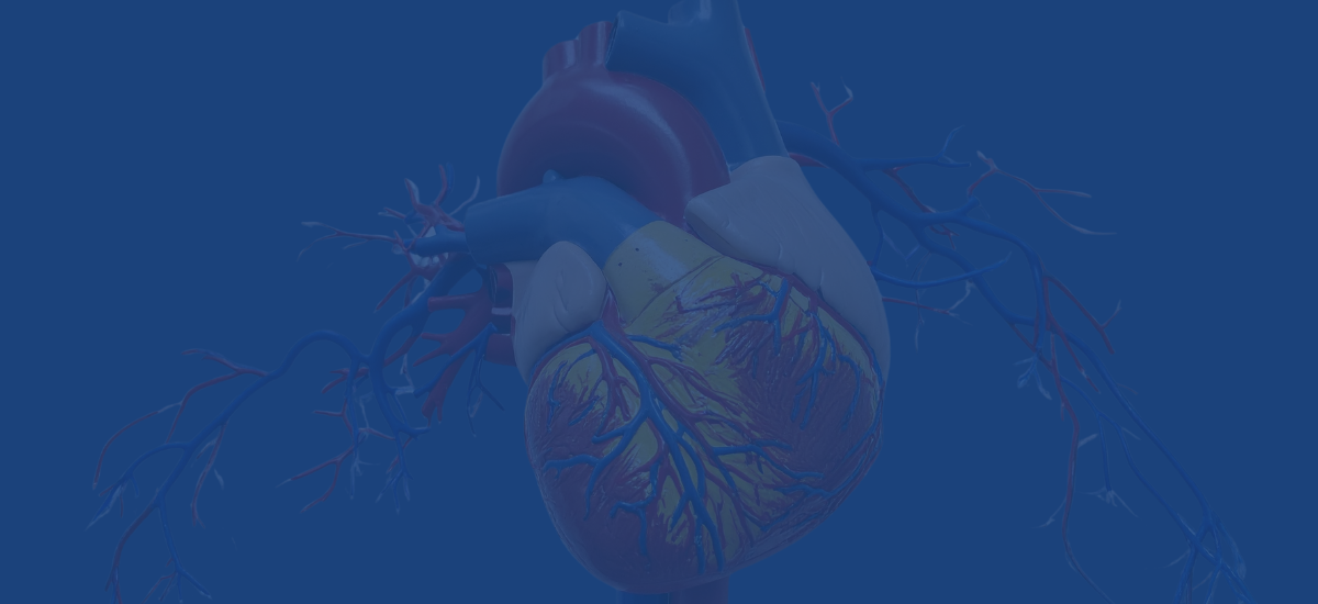Heart Valve Diseases That Can Cause Right Side Heart Failure