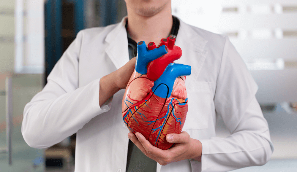 Heart Valve Repair Surgery Cost In Mumbai