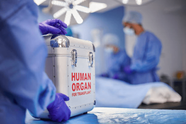 human organ for transplant