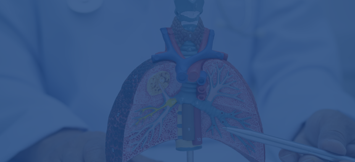What Does A Lung Transplant Cost In India